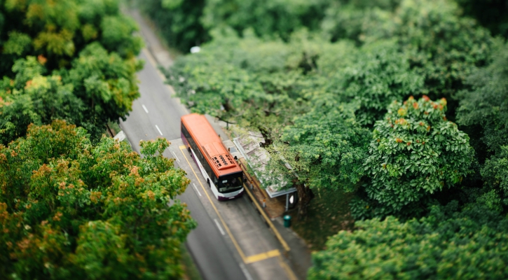 get a coach or bus