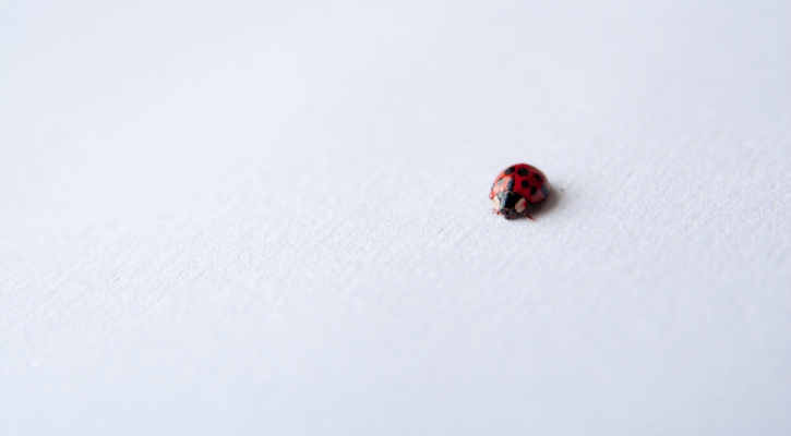 pick small