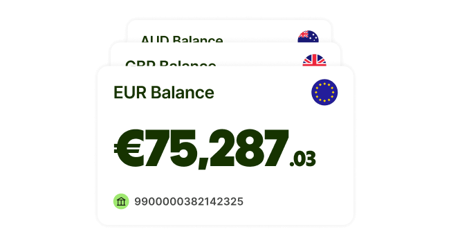 Wise-Guthaben für Euro.